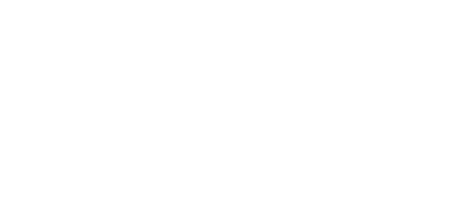 Wit-dummy-logo